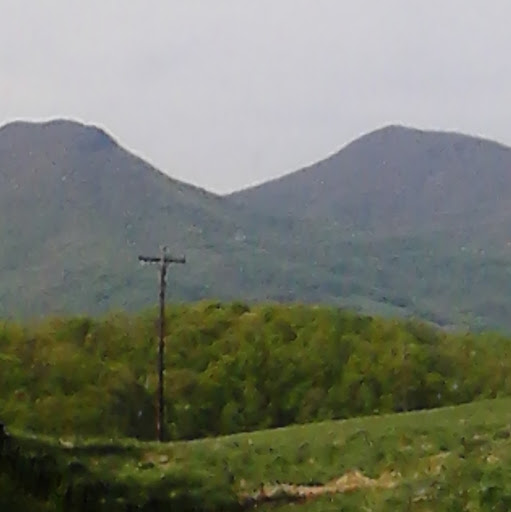 Celia Clark Photo 4