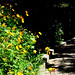 Deborah Bonner Photo 23