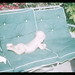 Susan Pacheco Photo 20