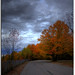 Sam Ewing Photo 22