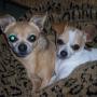Vicki Mayer Photo 28