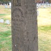 Jane Mcguire Photo 27