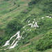 Leng Vang Photo 37