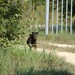 Nancy Henning Photo 17