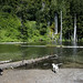 Russell Gifford Photo 5