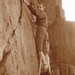 Sylvester Sharp Photo 8