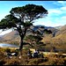 Heather Munro Photo 33