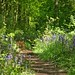 Andy Rudd Photo 19