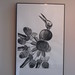 Theresa Simpson Photo 11