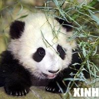 Jingying Zhang Photo 5