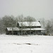 Terri Robertson Photo 21