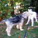 Heidi Moses Photo 10