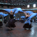 Michael Dowling Photo 21