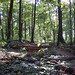 Gary Shaeffer Photo 7