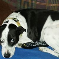 Susan Seiber Photo 6