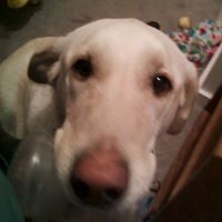 April Huber Photo 2