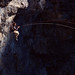 Erik Wallis Photo 8