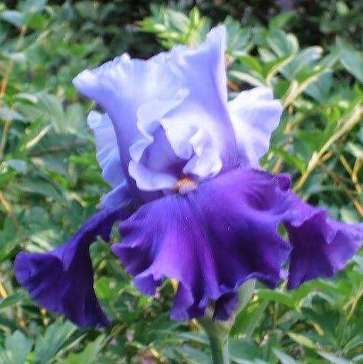 Susan Winkler Photo 3