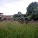 Philip Barton Photo 11