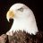 David Stoner Photo 24