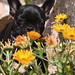 Brandy Flores Photo 15