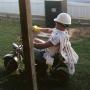 Ronnie Cash Photo 19