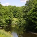 Wilson Clements Photo 10