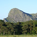 Craig Bird Photo 9