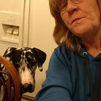 Sheryl Stevens Photo 5