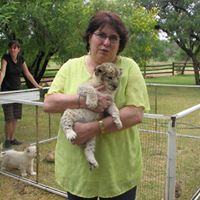 Carrie Sousa Photo 5