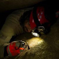 Guillermo Ossa Photo 5