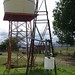 Della Brown Photo 29