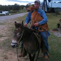 David Harrel Photo 8