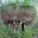 Margaret Grass Photo 8