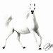 Mustafa Mohammad Photo 37