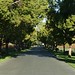 Cindy Rutherford Photo 21