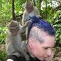 Paul Butler Photo 52