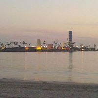 Robert Robley Photo 3