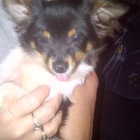Cheryle Brooks Photo 3