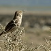 Barbara Thrasher Photo 21