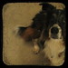 Jesse Stay Photo 12