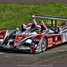 Allan Powers Photo 7