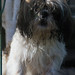Danny Keys Photo 11