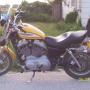 Annette Burt Photo 5