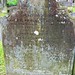 William Woolley Photo 25