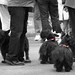 Scotty Weeks Photo 16