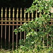 Janet Erskine Photo 16