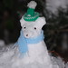 Deborah Snow Photo 24