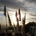 Robert Raney Photo 7