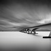 Nathan Levin Photo 26